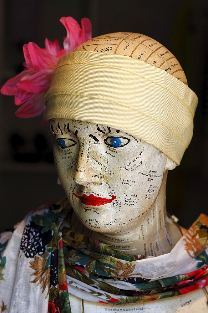 Study bust for the basic truths of life as a decoration for a hat shop, Erlangen, Middle Franconia, Bavaria, Germany, Europe