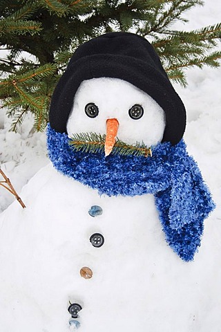 Snowman with hat, scarf and carrot nose