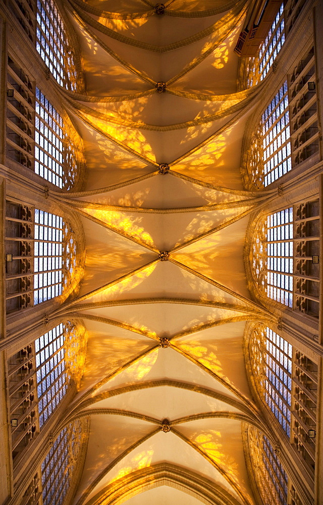 Ceiling of St. Michael and Gudula Cathedral, interior view, Brussels, Belgium, Europe