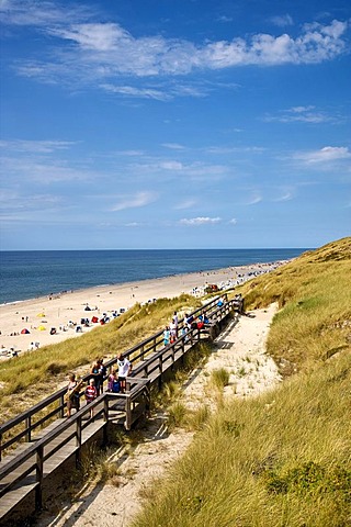 Wooden walkway through a dune landscape, Wenningstedt, North Frisia, Schleswig-Holstein, Germany, Europe