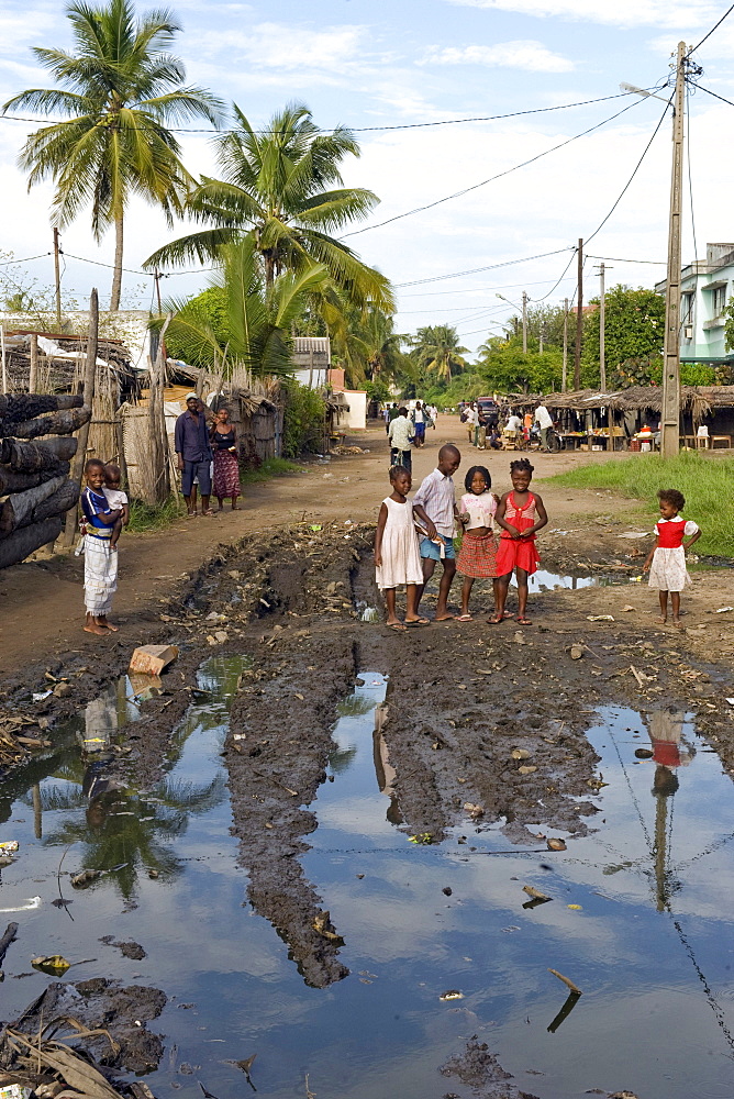 Stagnant water, ideal breeding ground for mosquitoes transmitting malaria, center of Quelimane, Mozambique, Africa