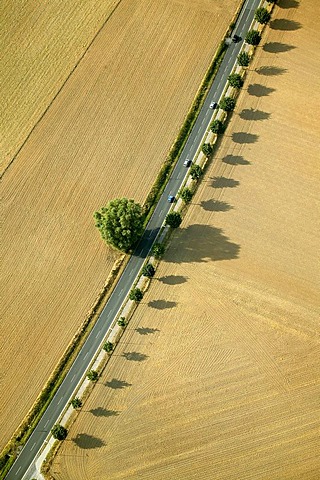 Aerial photograph of the highway between Duesseldorf and Heiligenhaus, Nordrhein-Westfalen, Germany, Europe