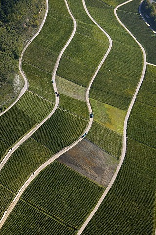 Aerial view, vineyards, Iphofen, Bavaria, Germany, Europe