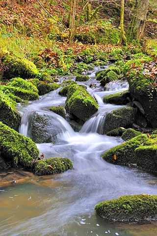 Brook, North Black Forest, Baden-Wuerttemberg, Germany, Europe