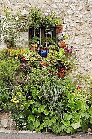 Flowers in front of window, Saint-Paul de Vence, Alpes-Maritimes, Provence-Alpes-Cote d'Azur, Southern France, France, Europe