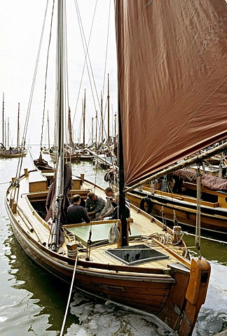 Zees boat regatta, Althagen, Ahrenshoop, Fischland Darss-Zingst, Mecklenburg-Western Pomerania, Germany, Europe