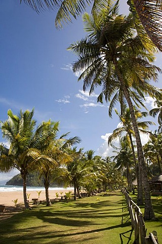 Playa Pui Pui Beach, holiday huts, Venezuela, Caribbean, South America