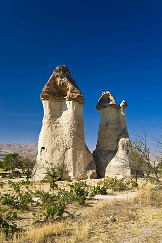 Tuff rock formation, fairy chimneys in the Valley of the Monks, Pasabagi Valley near Goereme, Cappadocia, Central Anatolia, Turkey, Asia