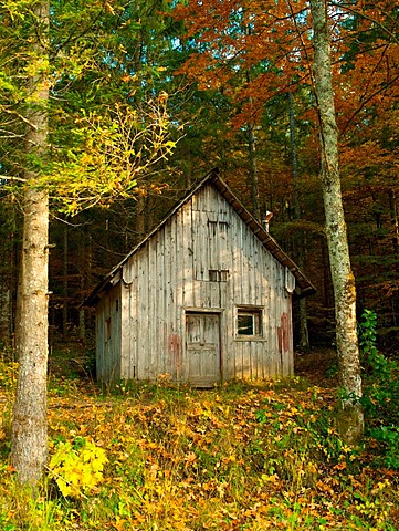 Old cabin in the woods, Nature Park Eisenwurzen, Austria, Europe