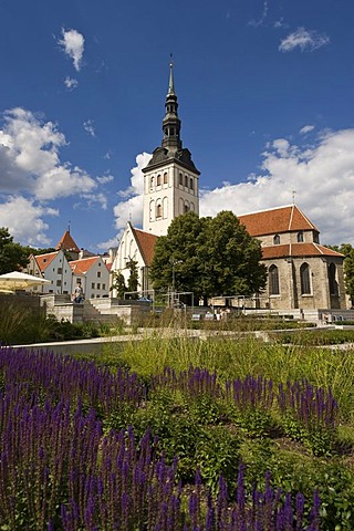 Niguliste Church, Tallinn, Estonia, Baltic States