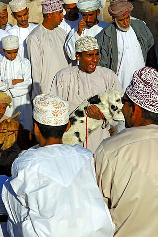 Tradesmen on the goat market, Nizwa, Sultanate of Oman, Middle East