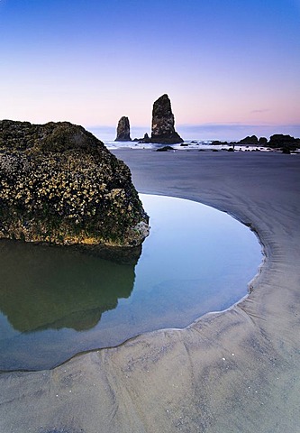 Monolith, solidified lava rock at Cannon Beach, Clatsop County, Oregon, USA, North America