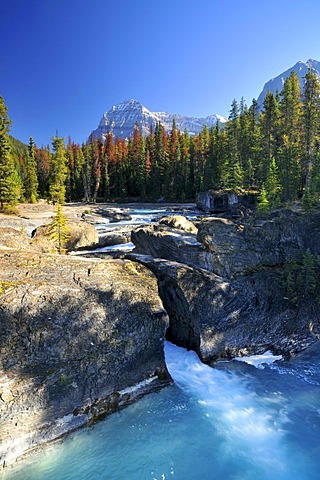 Waterfall at Mistaya Canyon, Banff National Park, Alberta, Canada, North America