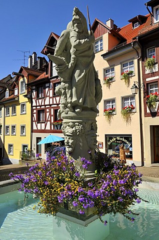 Schnabelgiere Fountain, Meerburger carnival, Meersburg on Lake Constance, Baden-Wuerttemberg, Germany, Europe