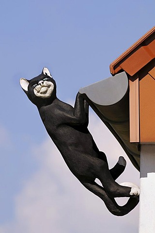 Black cat, sculpture, hanging from the gutter