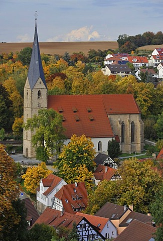 Alexander Church, Alexanderkirche, Marbach am Neckar, Baden-Wuerttemberg, Germany, Europe