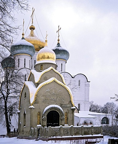 Novodevichy Convent or Bogoroditse-Smolensky Monastery, cathedral domes, Moscow, Russia