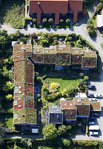 Greened roofs of one-familiy houses and multi-family houses, estate, Muenster, North Rhine-Westphalia, Germany, Europe