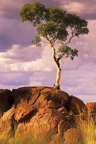 Devils Marbles, Northern Territory, Australia