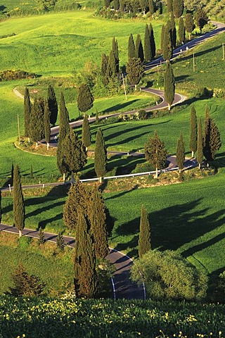 Winding road near Monticchiello, Tuscany, Italy, Europe