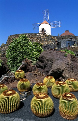 Jardin de Cactus in Guatiza, Lanzarote, Canary Islands, Spain, Europe