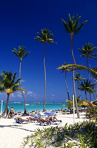 Palm beach Playa Bavaro, Punta Cana, Dominican Republic, Caribbean