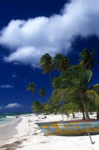 Palm beach, Manojuan fishing village on Saona Island, Parque Nacional del Este, Dominican Republic, Caribbean