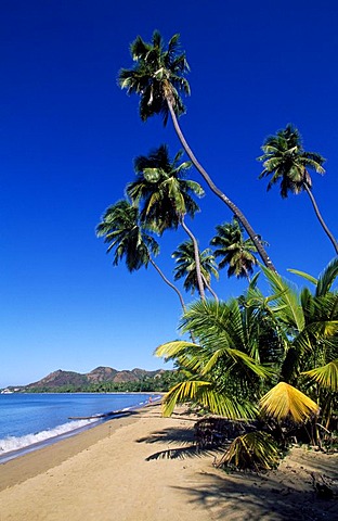 Beach with palm trees, Tres Hermanos Beach, Anasco, Puerto Rico, Caribbean