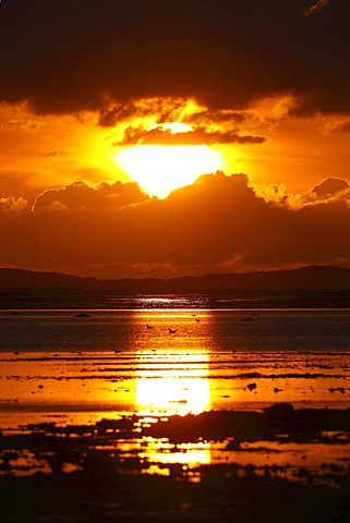 Sunset on the Wadden Sea, Foehr Island, Schleswig-Holstein, Germany, Europe