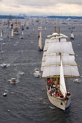 Parade of windjammers at the Kieler Woche 2008, Kiel Week 2008 with the sail training ship Gorch Fock of the German navy as the command ship and other traditional sailing ships, Kiel Fjord, Schleswig-Holstein, Germany, Europe