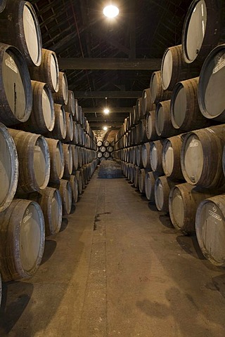 Oak barrels filled with port wine of Graham's Port Wine House on Rua Rei Ramiro, Vila Nova Gaia, Porto, Portugal, Europe - Propertyrights www.symington.com JD@symington.com