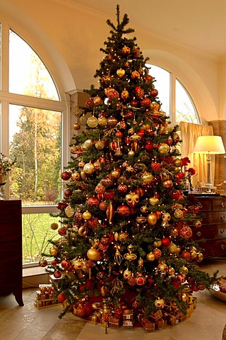 Large decorated Christmas tree, Villa Ambiente, Nuremberg, Middle Franconia, Bavaria, Germany, Europe