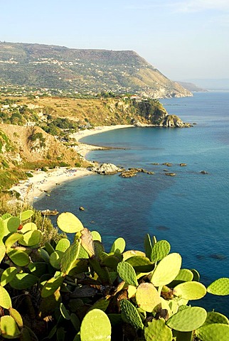 Cactus with a sea view, bayside beaches below the coastal cliffs at Capo Vaticano, Ricadi, Calabria, Tyrrhenian Sea, South Italy, Italy, Europe