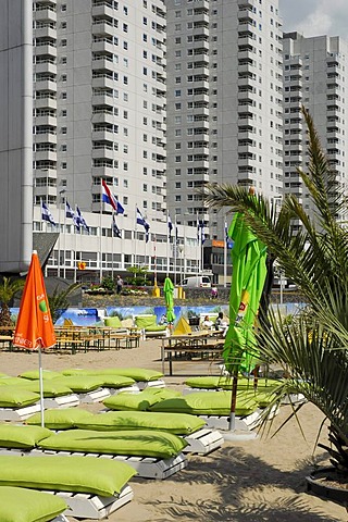 Beach with palm trees, Stichting Strand aan de Maas, Leuvehoofd, Boompjes, Rotterdam, South Holland, the Netherlands, Europe