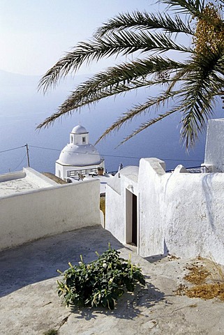 Palm tree and white church with sea view, capital city Fira at the crater rib of the volcano, Island of Santorini, Thera or Thira, Cyclades, the Aegean, Mediterranean Sea, Greece, Europe