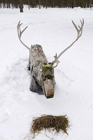 Reindeer made of wood, at Joiku's Kota, Ivalo, Lapland, Finland, Europe