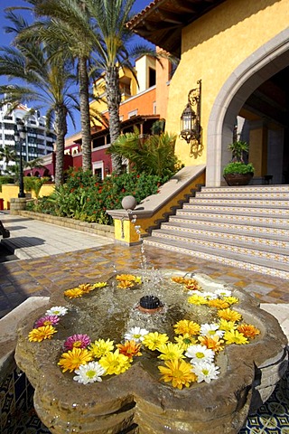 Fountain with blossoms in front of hotel in Las Americas, Tenerife, Canary Islands, Spain, Europe