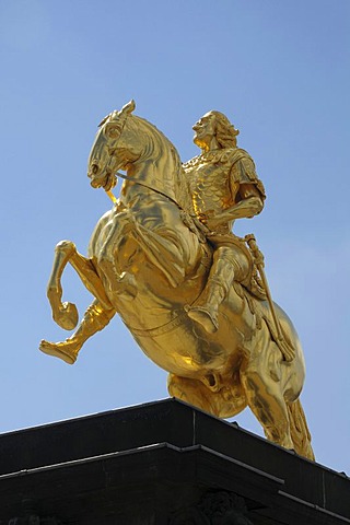 Golden Rider, Dresden, Saxony, Germany, Europe