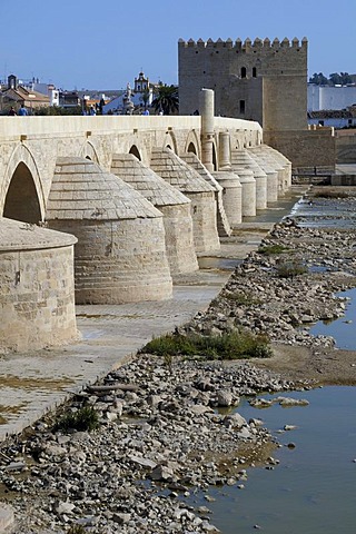 Puente Romano Bridge, with the Torre de la Calahorra Tower, Cordoba, Andalusia, Spain, Europe