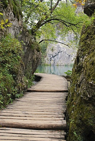 Wooden path, Plitvice Lakes National Park, Croatia, Europe