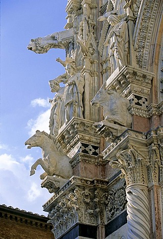 Santa Maria Assunta Cathedral, facade, detail with statues, animal figures, Siena, Tuscany, Italy, Europe