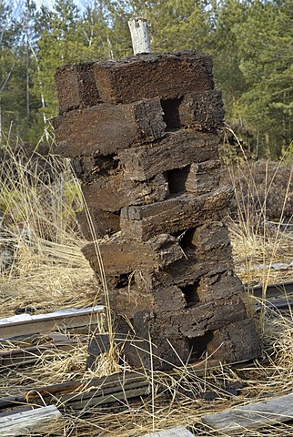 Stacks of peat sods left to dry, peat harvesting, Nicklheim, Bavaria, Germany, Europe