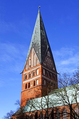 Historic gothic hall church, Lueneburger Johanniskirche, historic town centre, Hanseatic City of Lueneburg, Lower Saxony, Germany, Europe