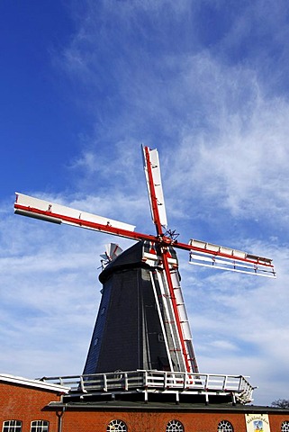 Historic windmill in Bardowick, Galleriehollaender with wind rose, Meyer's Windmuehle, Bardowick, Lueneburg district, Lower Saxony, Germany, Europe