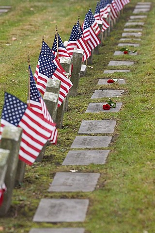 A Veterans Day ceremony at Elmwood Cemetery honors members of the 102nd U.S. Colored Infantry Regiment who fought in the American Civil War, Detroit, Michigan, USA