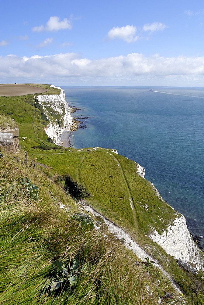 White Cliffs of Dover, Dover, England, Great Britain, Europe