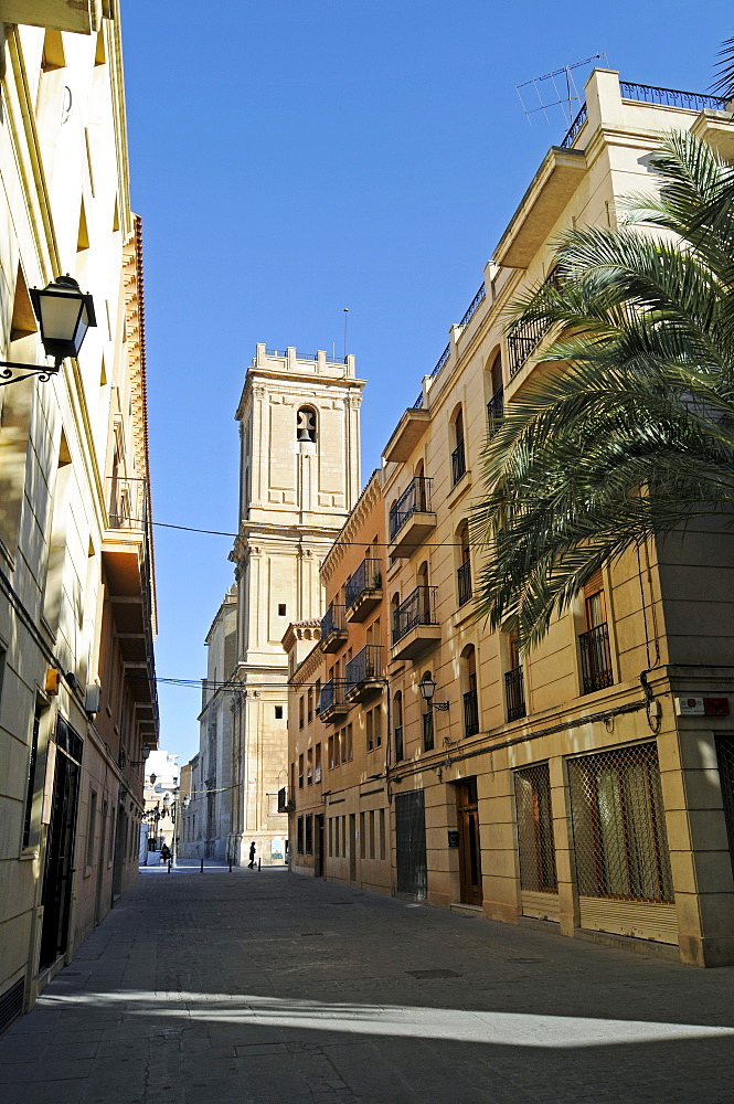Santa Maria Basilica, Elche, Elx, Alicante, Costa Blanca, Spain