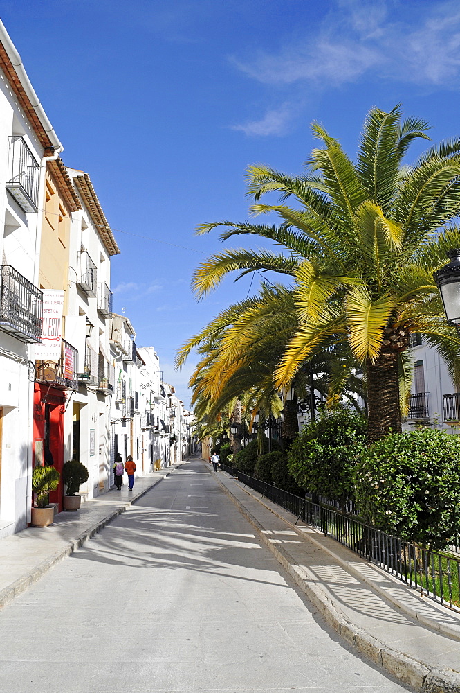 Palm-lined street in the historic centre of Benissa, Alicante, Costa Blanca, Spain