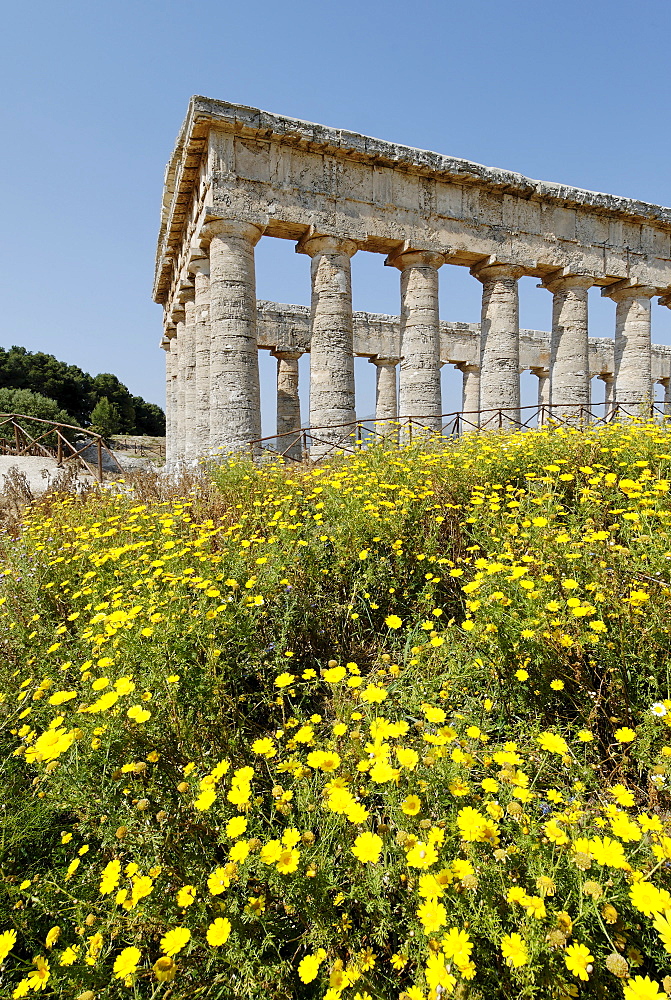 Temple Segesta Sicily Italy