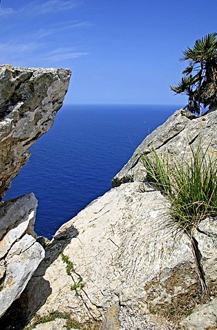 Cap Formentor, Majorca, Balearic Islands, Spain, Europe